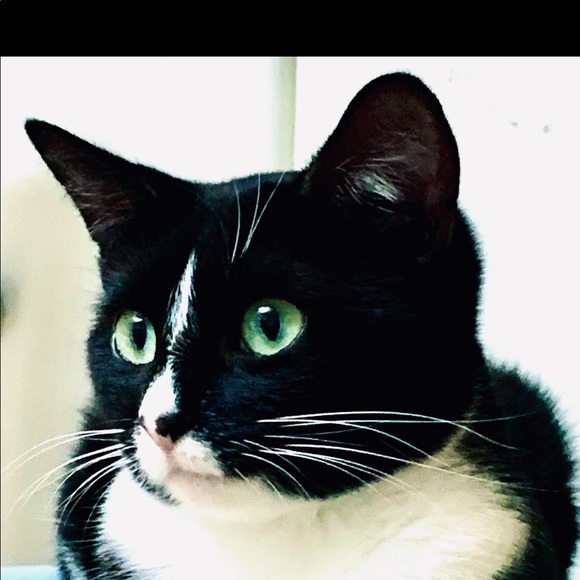 Profile Picture of Beverly Devry (@petsrfamily2) on Poshmark