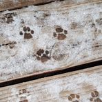 Roberto Rundquist - Facebook Profile Picture of Roberto Rundquist (@Roberto-Rundquist) on Facebook