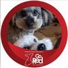 Profile Picture of sharimanningrosen (@@sharimanningrosen) on Tiktok