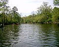 Profile Picture of Blackwater River (Virginia)on Wikipedia