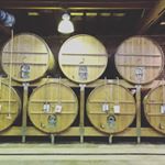 Profile Picture of Cory King (@cory_king_) on Instagram