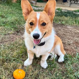 Profile Picture of Chastity Brooks Lee (@cbrooksdeaton) on Instagram