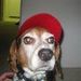 Profile Picture of Mark Edwin (@edwinbarney) on Pinterest