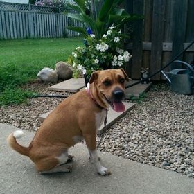 Profile Picture of Jessica Cyfko (@jcyfko) on Pinterest