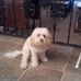 Profile Picture of Denise Howard Lemm (@denise.howardlemm) on Facebook
