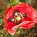 Profile Picture of Alberto Corda (@alberto.corda.716) on Facebook