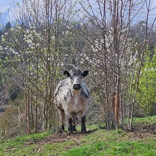 Profile Picture of Joseph Dilley (@dilleyjoseph) on Instagram