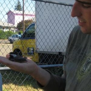 Profile Picture of Tim Leone (@therabidchild) on Myspace