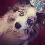 Profile Picture of Holly Terry (@ladyht393) on Instagram