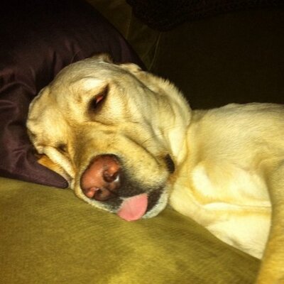 Profile Picture of Kris Matthews (@Patty_Magee) on Twitter
