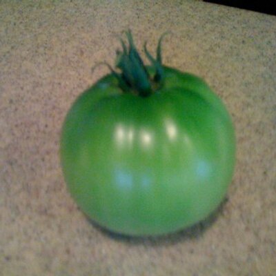 Profile Picture of Cory Ricks (@carminabee) on Twitter