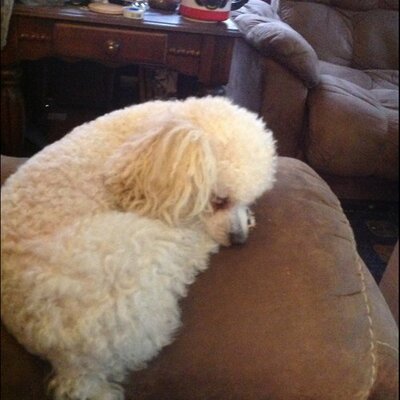 Profile Picture of EARL CHALLENDER (@EARLCHALLENDER) on Twitter