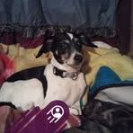 Profile Picture of Cynthia Branch (@cynthia.branch.45309) on Facebook