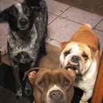 Profile Picture of Jean Grey, Margô e Luke Cage (@jean_margo_luke) on Instagram