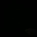 Profile Picture of steve hearne (@stevehearne74) on Instagram