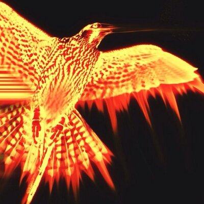 Profile Picture of Andrew Hroba (@bears400) on Twitter