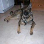 Profile Picture of michael (@ryangaliano) on Instagram