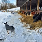 Profile Picture of Caleb Bean (@caleb.bean.12) on Facebook