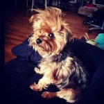 Profile Picture of Veronica Mason (@veronicaknowshair) on Instagram