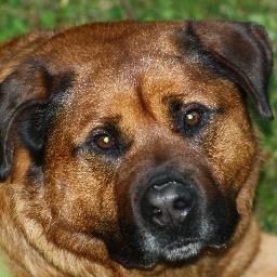 Joseph Dolby - Twitter Profile Picture of Joseph Dolby (@Nishimoto58) on Twitter