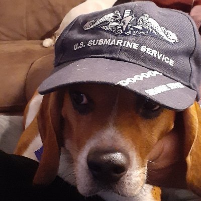 Profile Picture of Kevin Nesbitt (@KevinNesbitt20) on Twitter