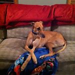 Profile Picture of Janet Bradshaw (@janet.bradshaw.35574) on Instagram