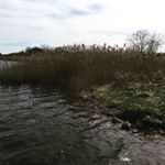 Profile Picture of Andrew Salama (@andrew.wsm) on Instagram