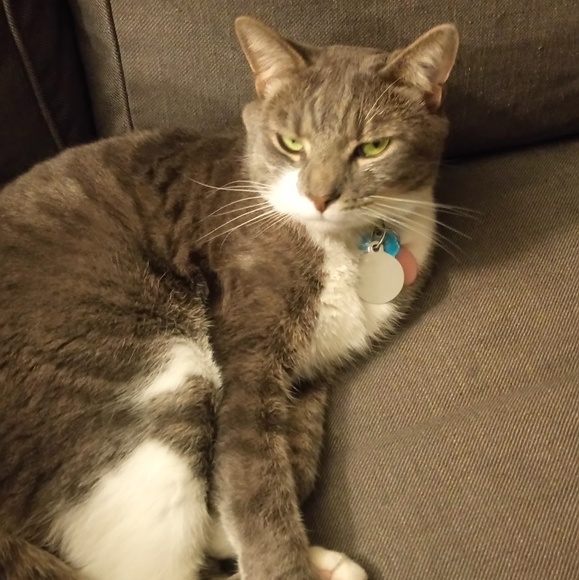 Profile Picture of Katie Schmelter (@katieschmelter) on Poshmark