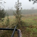 Profile Picture of Clinton Sawyer (@csawyer4817) on Instagram