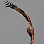 Profile Picture of Kim Marie Chumley (@kim.m.chumley) on Instagram