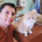 Profile Picture of Damien Payne (@Damien-Payne) on Facebook