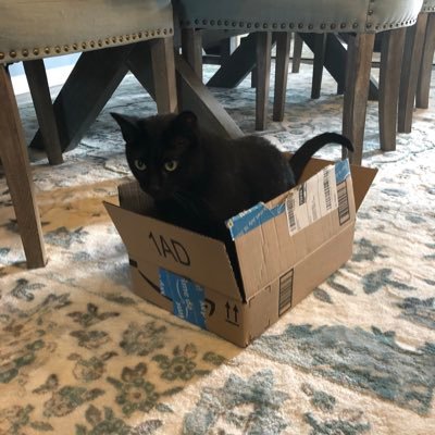 Profile Picture of Mitchell Funk (@MarsKingGaming) on Twitter