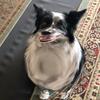 Profile Picture of Jillian Wener (@@jillian_wener) on Tiktok