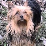 Profile Picture of Nick Lyons (@nicholas_lyons_) on Instagram