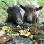 Profile Picture of James Kauffman (@kauffmanj1953) on Instagram