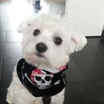 Profile Picture of Annette Cramer (@cramer.annette) on Instagram