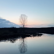 Ünal Sevey - Youtube Profile Picture of Ünal Sevey (@unalsevey2019) on Youtube