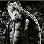 Profile Picture of David Polishuk (@_d.a.v.i.d_p) on Instagram