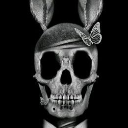 Profile Picture of Luna Azul (@nikole_kazz) on Twitter