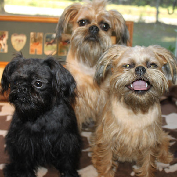 Profile Picture of Brenda Canupp (@canuppjunk) on Poshmark