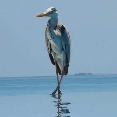 Profile Picture of Steven Ashman (@SteveAshman99) on Twitter