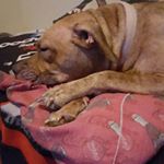 Profile Picture of Albert Bailey (@albertbailey1969) on Instagram