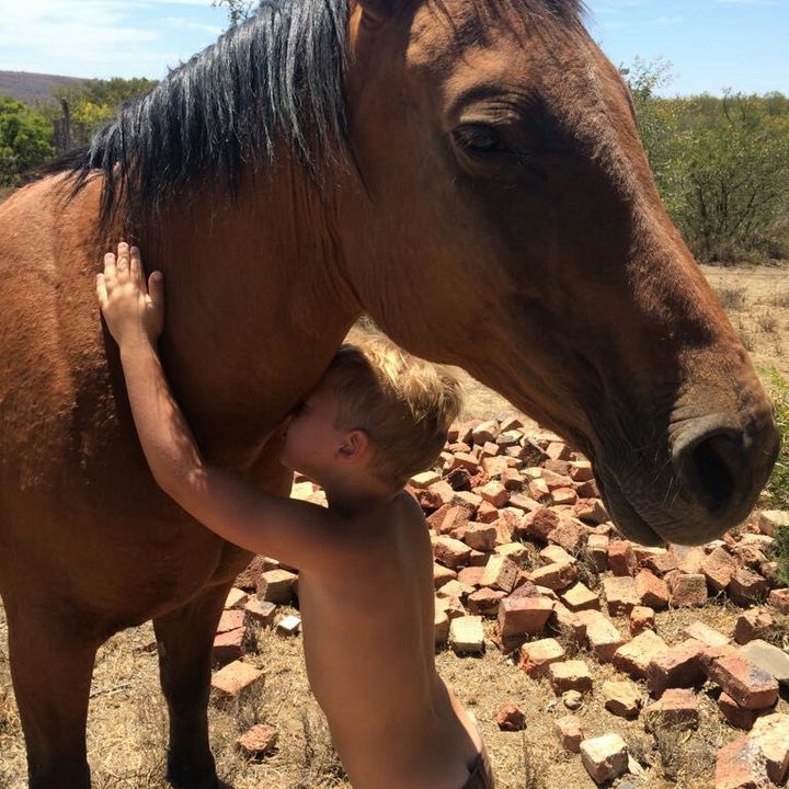 Profile Picture of Cameron shirley (@cambudhud) on Tiktok