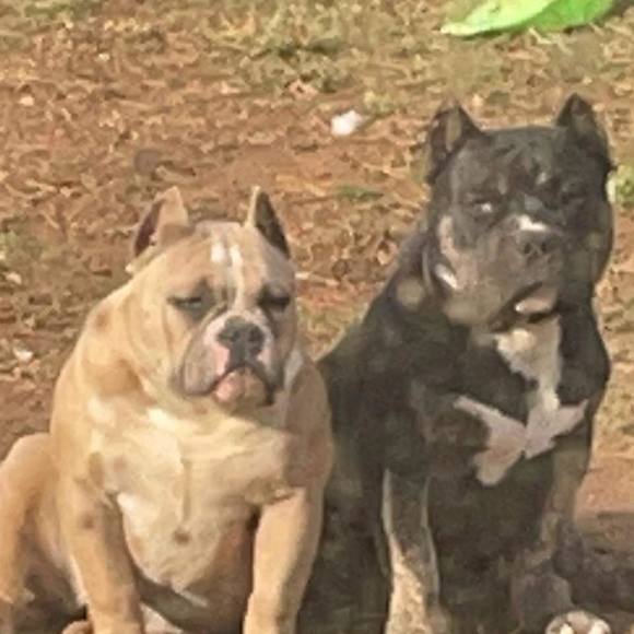 Profile Picture of Eric Fredrick (@ericfred41) on Poshmark