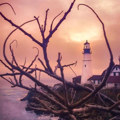 Profile Picture of Chad Tracy (@spiritOfMaine) on Twitter