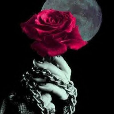 Profile Picture of Luis E.Bracamontes M (@JoseLuisBracamo) on Twitter