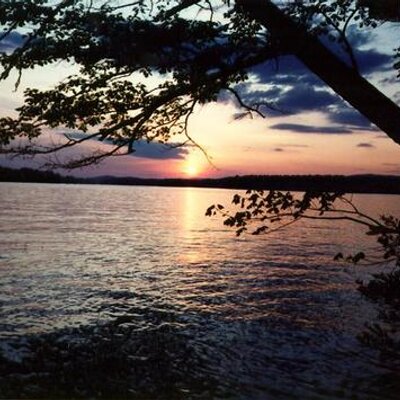 Profile Picture of Leia Walker (@leiajoiner) on Twitter