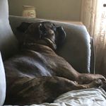 Profile Picture of Jeanette Baer- Serrador (@jeanetteserrador) on Instagram