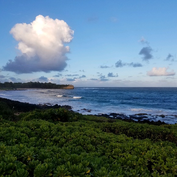 Profile Picture of Gretchen Edwards (@gedwards615) on Poshmark