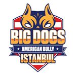 Profile Picture of Big Dogs Istanbul (@big_dogs_istanbul) on Instagram